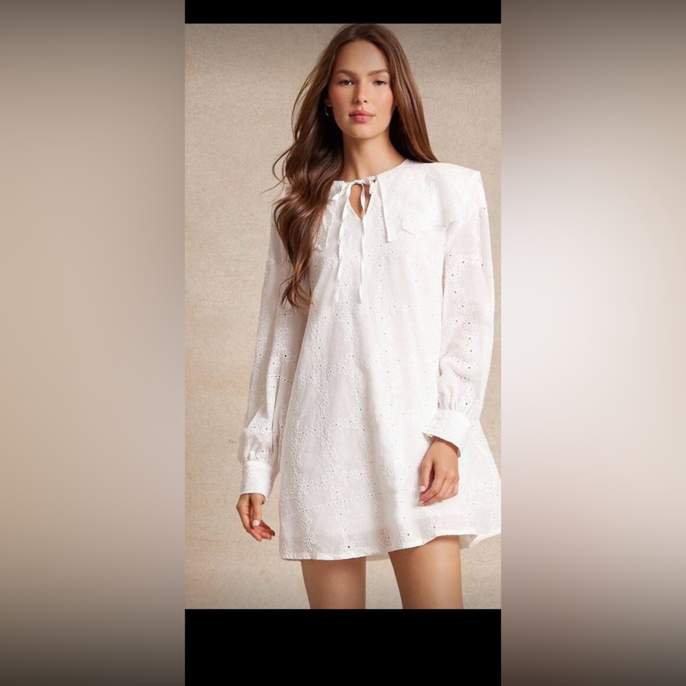 SHEIN White Long Sleeve Eyelet Dress